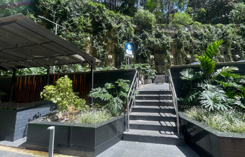 Terraza 1