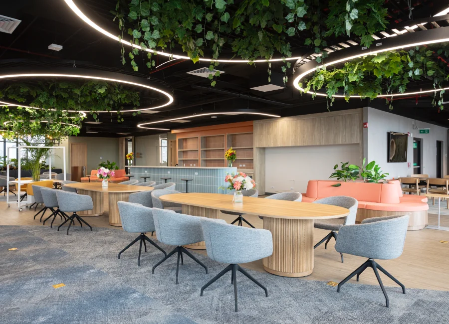 Bienestar y productividad en Connecta 80